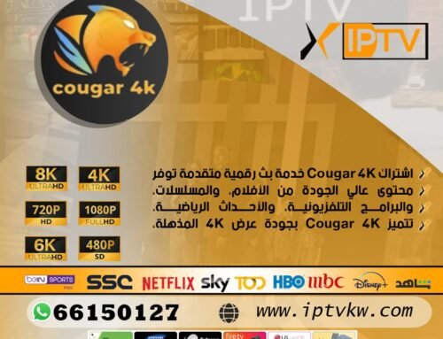 اشتراك Cougar 4K